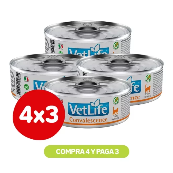 Pack 4X3 Labyes Vetlife Wf Cat Convalence 85 Gr