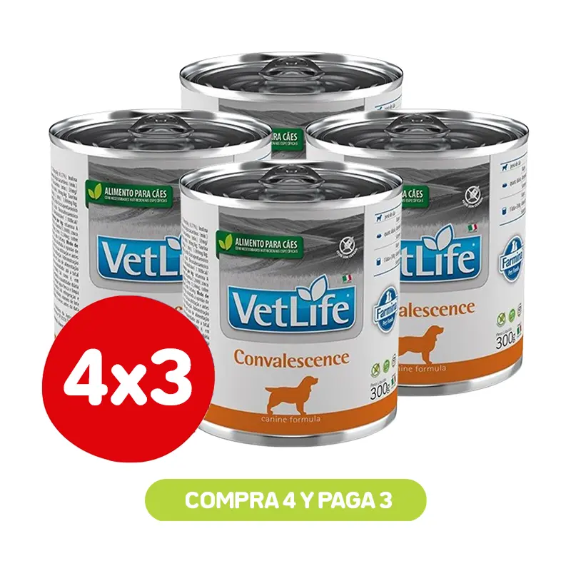 PACK 4X3 LABYES VETLIFE WF DOG CONVALENCE 300 GR Pack 4X3 Labyes Vetlife Wf Dog Convalence 300 Gr