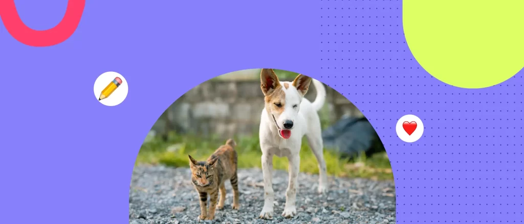 Cómo Chile está protegiendo a los animales: avances legales y desafíos pendientes