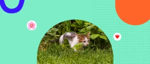 Plantas tóxicas para gatos: lo que debes saber antes de llevarlas a tu casa