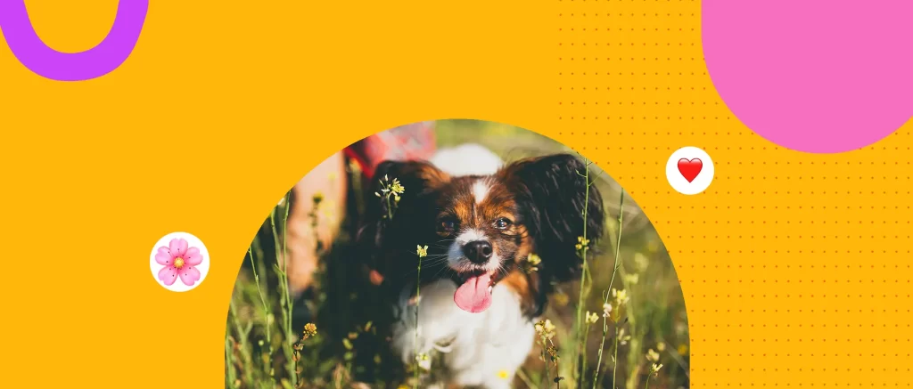 Época de alergias: cómo distinguir síntomas en perros y gatos y cuándo ir al veterinario