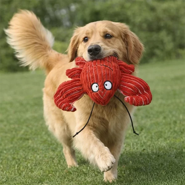 Juguete Para Perro Botella Diseño Langosta