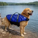 Salvavidas Para Mascotas