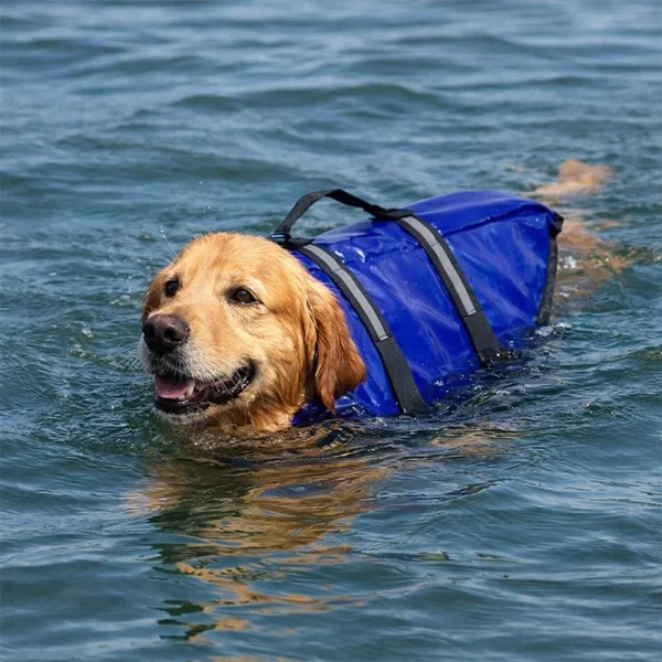 Salvavidas Para Mascotas