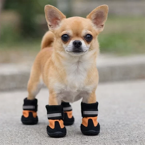 Zapato Diseño Botin Reflectante Damasco Talla XS