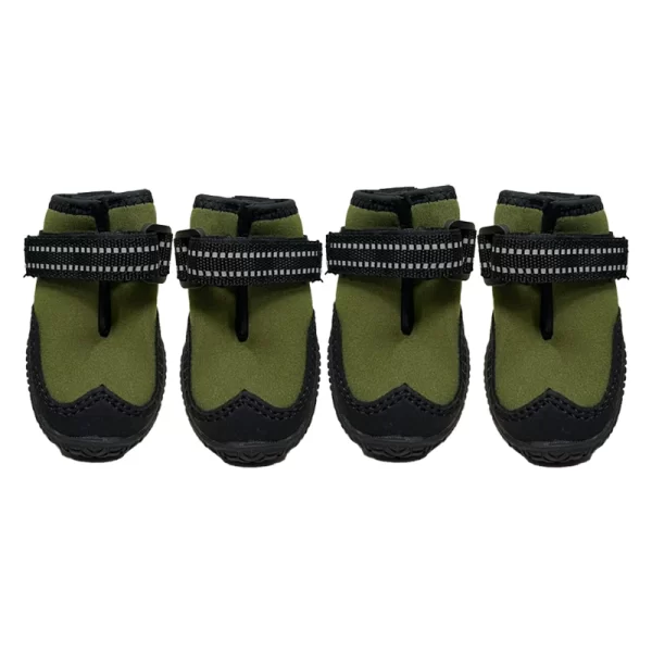 Zapato Diseño Green Park