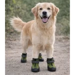 Zapato Diseño Green Park