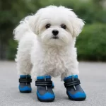 Zapato Reflectante Sky Blue Talla 2 