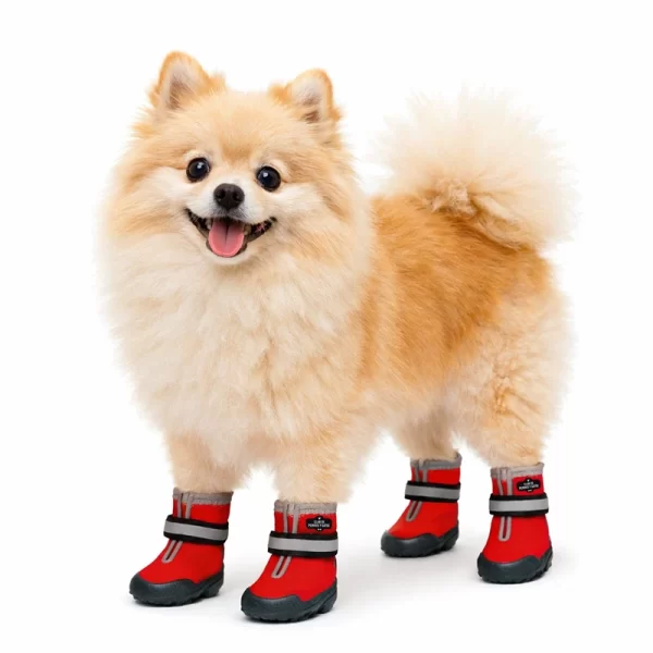 Zapatos Trainning Paw Rojo