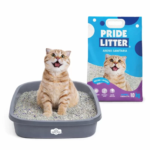 Arena Bentonita Carbón Lavanda 10 Kilos