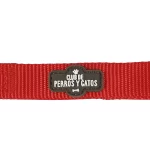 Collar Paw Strike