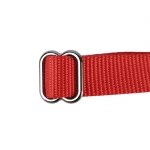 Collar Paw Strike