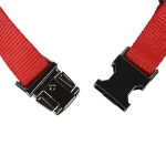 Collar Paw Strike