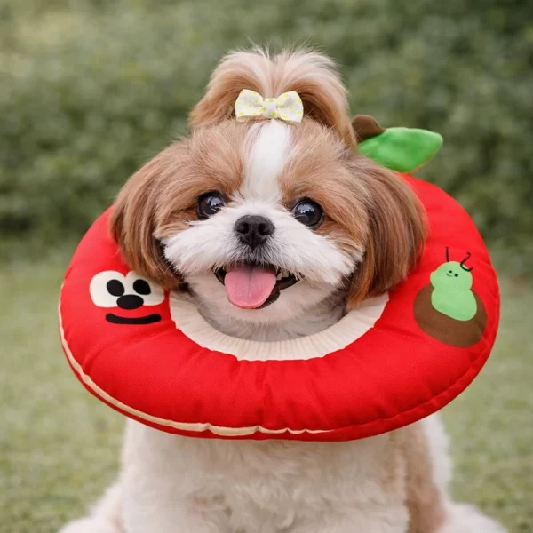 Collar Isabelino Diseño Manzana