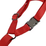 Correa De Seguridad Safe Paws