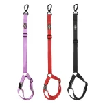 Correa De Seguridad Safe Paws
