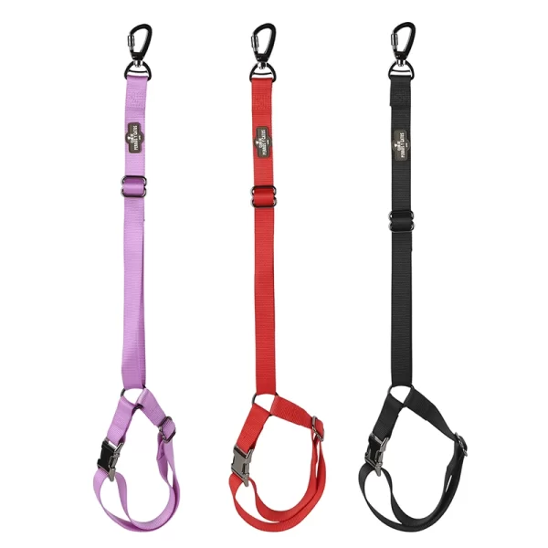 Correa De Seguridad Safe Paws