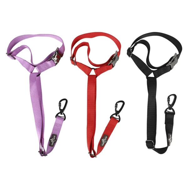 Correa De Seguridad Safe Paws