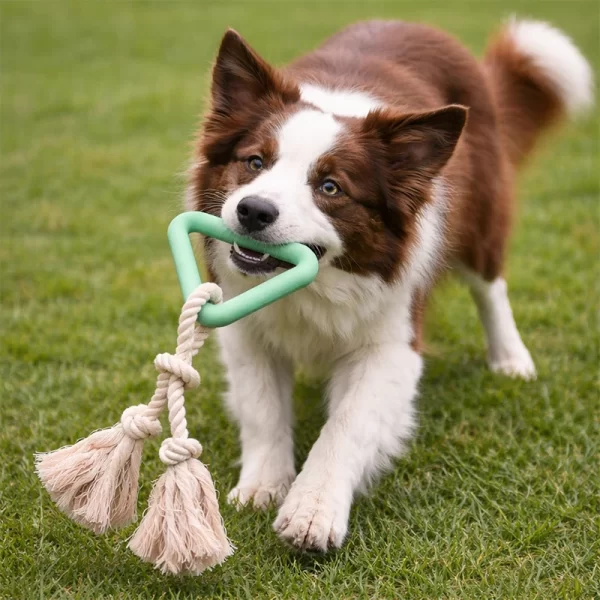 Juguete Para Mascota Triángulo Con Cuerda Nudo