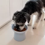 Plato Alto Para Mascota