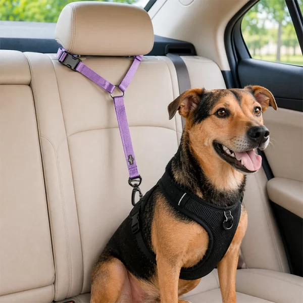 Correa De Seguridad Safe Paws