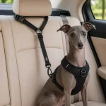 Correa De Seguridad Safe Paws