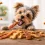 Snacks para perros: cuáles son seguros, cuáles evitar y cuáles comprar