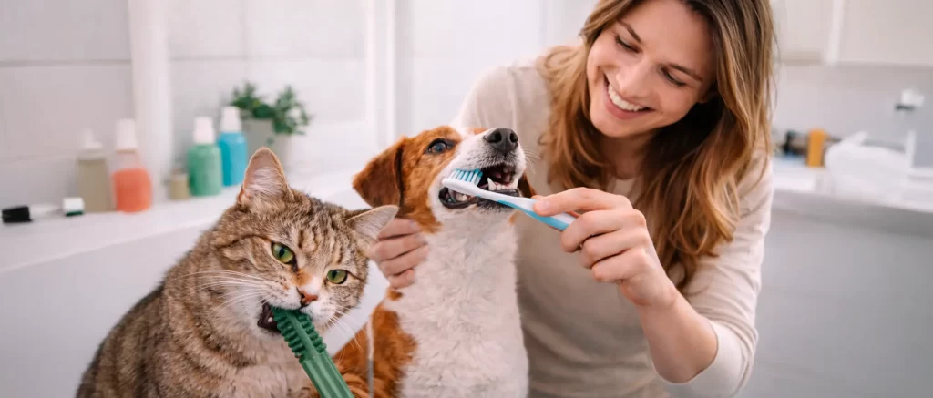 Mal aliento en perros y gatos: causas, limpieza dental y cuándo hacer destartraje