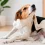 Mi perro se rasca mucho: causas, qué hacer y cómo aliviar la picazón
