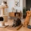 Mejores rascadores para gatos: cómo elegir el ideal y evitar muebles destruidos