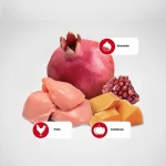 N&D Felino Calabaza Adulto Pollo 7.5 Kg