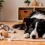 Ansiedad en perros: síntomas, causas y cómo calmarlo en casa