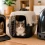 Transportador para gatos: cómo elegir el mejor y evitar errores comunes