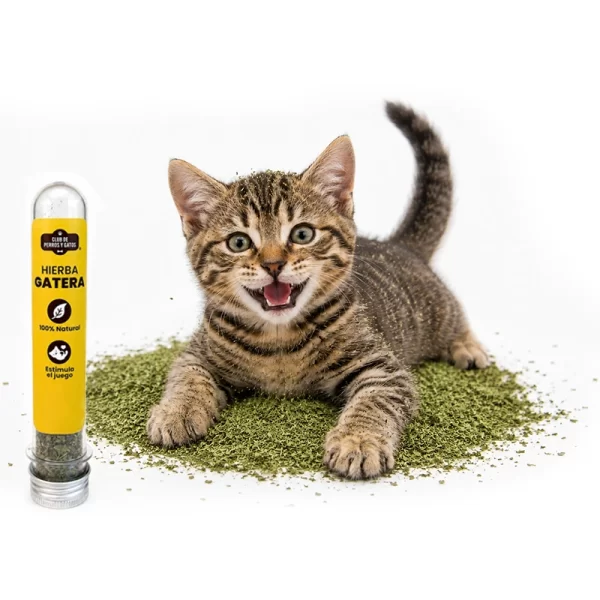 Catnip En Tubo 8 Gr 