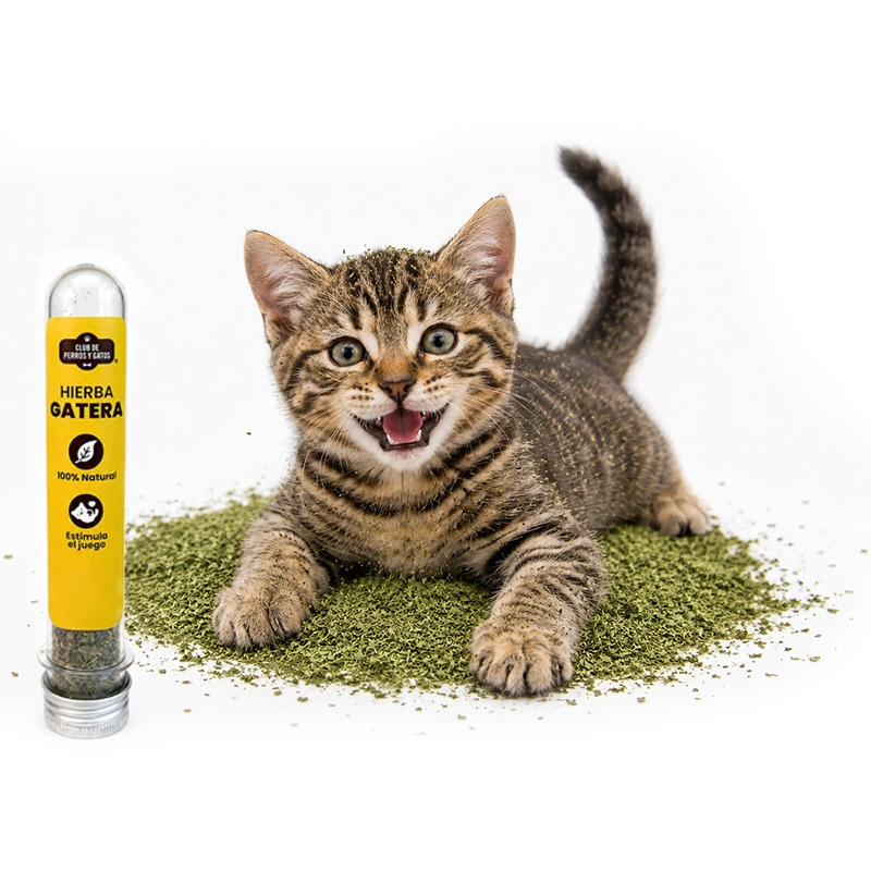 Catnip En Tubo 8 Gr Catnip En Tubo 8 Gr