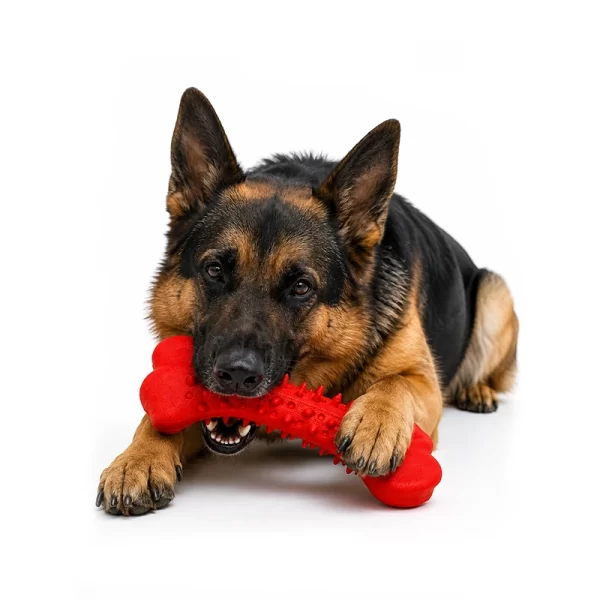 Juguete Para Perro Diseño Hueso Strong - Rojo