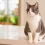 Hipertiroidismo en gatos: señales que debes conocer