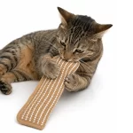 Almohada Rasguñador Sisal Para Gatos Rellenos con Catnip
