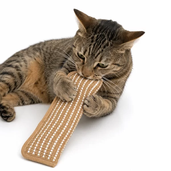 Almohada Rasguñador Sisal Para Gatos Rellenos con Catnip