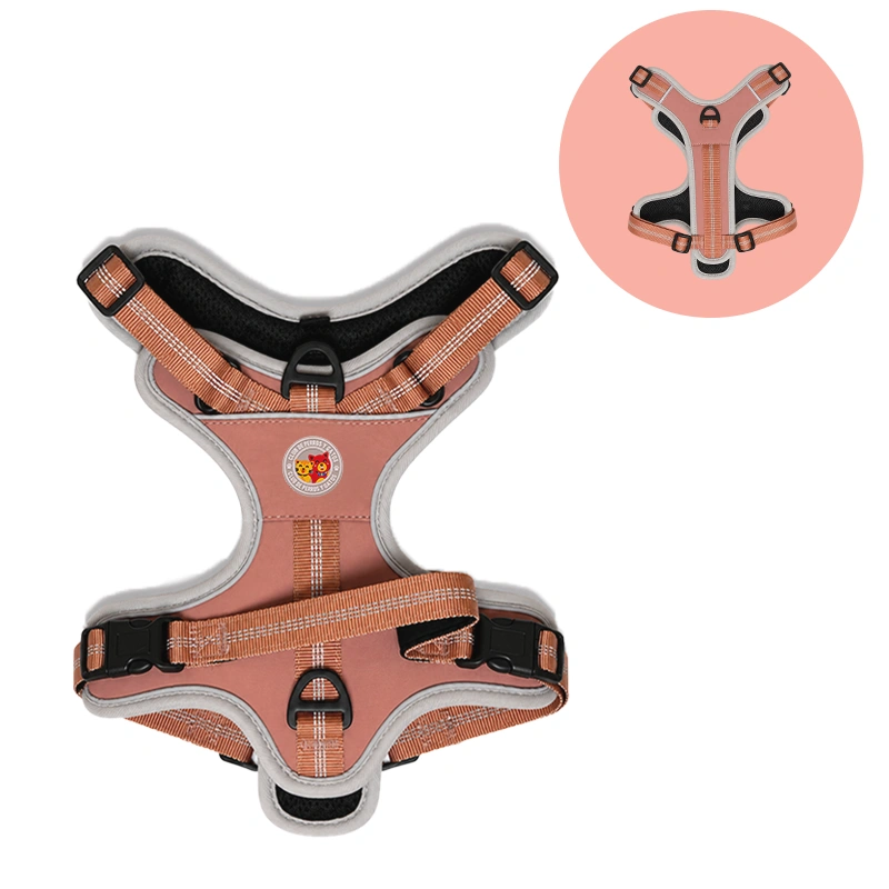 Harness Wild Trek