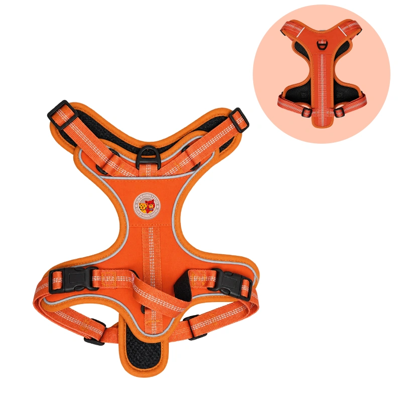 Harness Wild Trek
