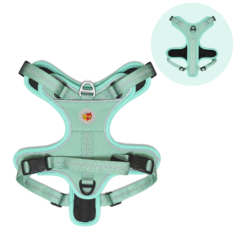 Harness Wild Trek