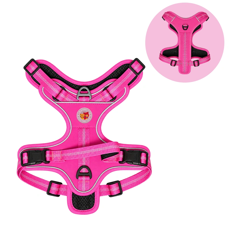 Harness Wild Trek