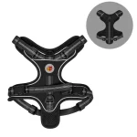 Harness Wild Trek