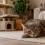 Cómo saber si un gato tiene dolor: señales ocultas