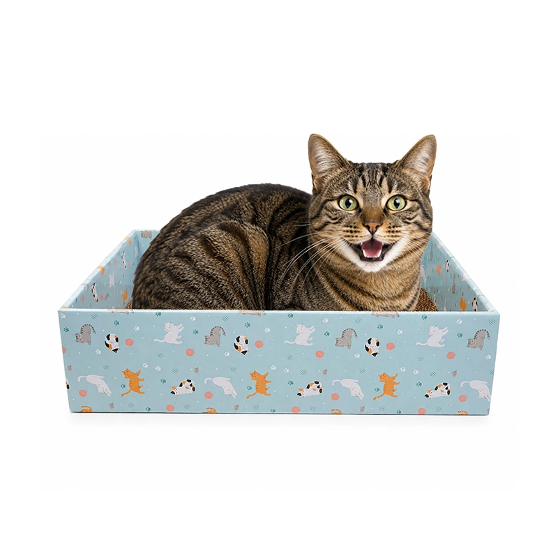 Rasguñadores Kit Diseño Kitties
