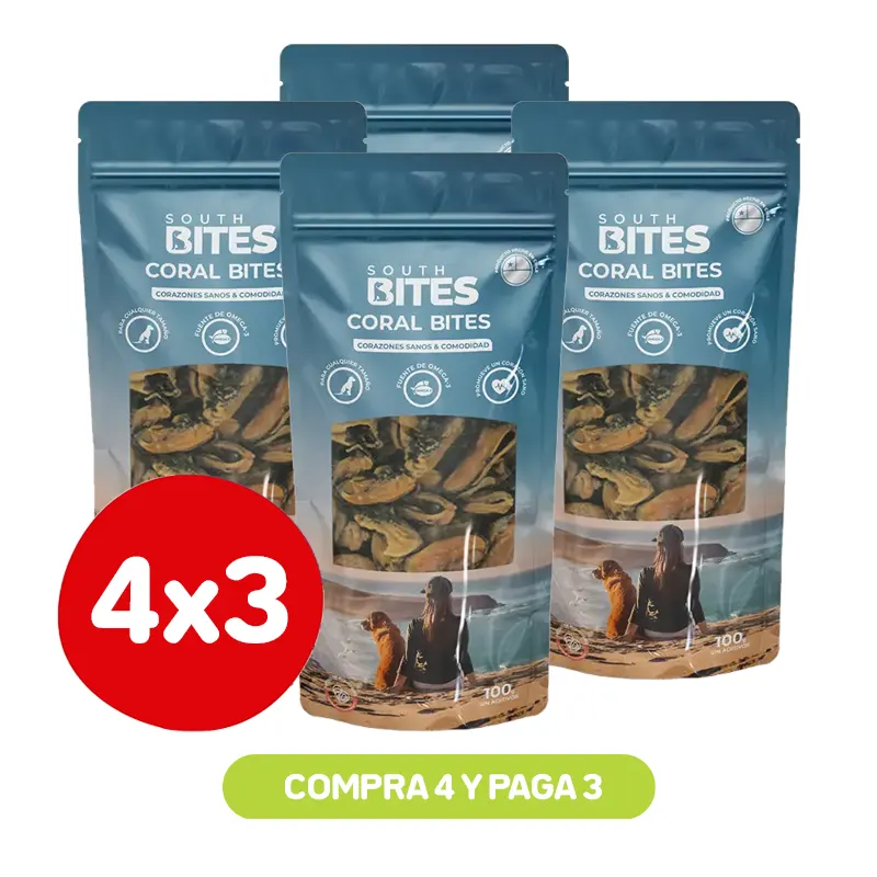 Pack 4X3 South Bites Coral Bites Choritos 70 Gr